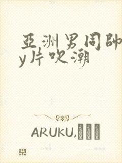 亚洲男同帅gay片吹潮