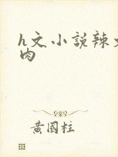 h文小说辣文肉肉封面