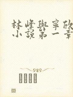 林峰与宁欣正版小说第一章