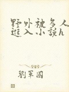 野外被多人蹂躏进入小说h