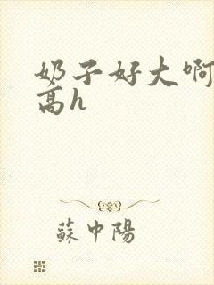 奶子好大啊啊啊高h