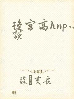 后宫高hnp小说