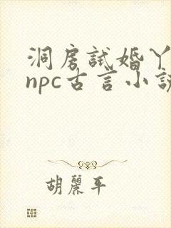 洞房试婚丫鬟的npc古言小说