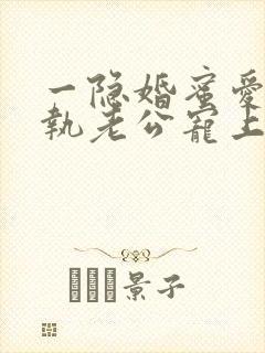 一隐婚蜜爱:偏执老公宠上瘾
