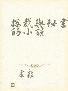 总裁与秘书高干的小说