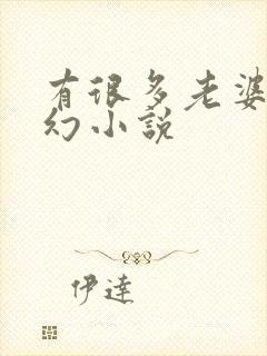 有很多老婆的玄幻小说封面