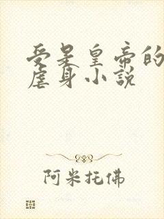 受是皇帝的虐心虐身小说