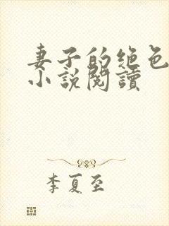 妻子的绝色小姨小说阅读