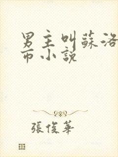 男主叫苏洛的都市小说