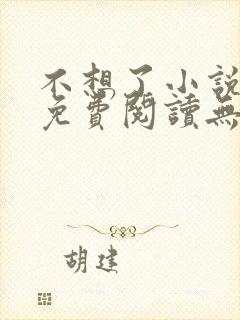 不想了小说全文免费阅读无弹窗