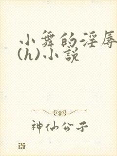 小舞的淫辱日记(h)小说封面