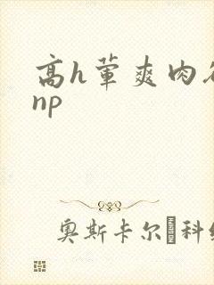 高h荤爽肉欲文np封面