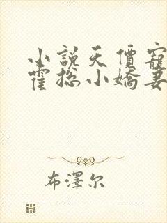 小说天价宠妻:霍总小娇妻