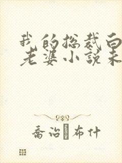 我的总裁白富美老婆小说未删减在线看封面