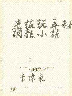 老板玩弄秘书h调教小说封面