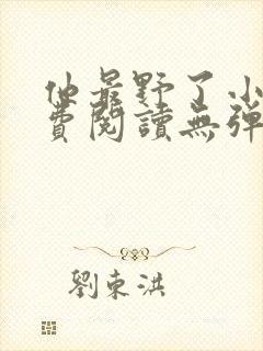 他最野了小说免费阅读无弹窗