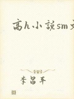 高h小说sm文封面