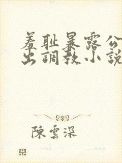 羞耻暴露公共露出调教小说