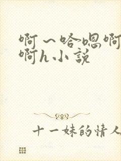 啊～哈嗯啊哈嗯啊h小说