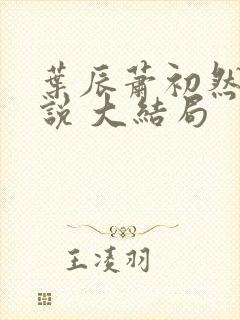 叶辰萧初然 小说 大结局