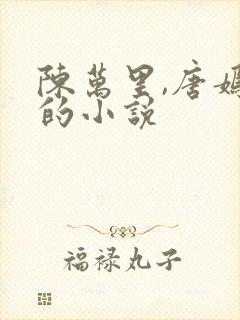 陈万里,唐嫣然的小说