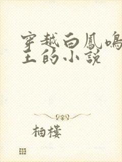 穿越白凤鸣摄政王的小说