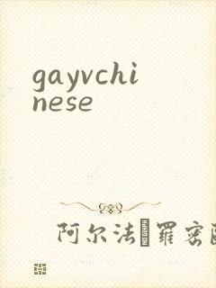 gayvchinese封面