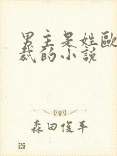 男主是姓欧的总裁的小说