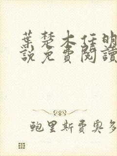 叶楚木任明曦小说免费阅读最新章节