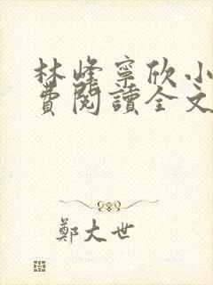 林峰宁欣小说免费阅读全文最新章节封面