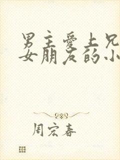 男主爱上兄弟的女朋友的小说封面