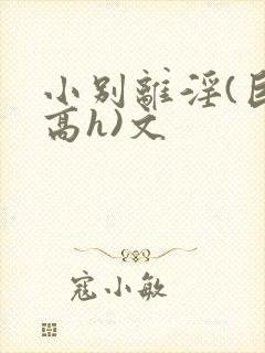 小别离淫(巨肉高h)文
