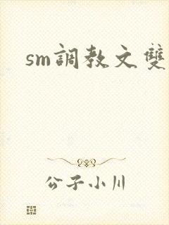 sm调教文双男