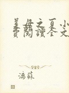 美母之夏小说免费阅读全文最新章节