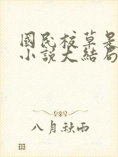 国民校草是女生小说大结局