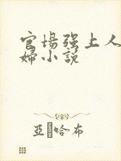 官场强上人妻少妇小说封面