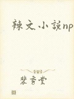 辣文小说np文封面