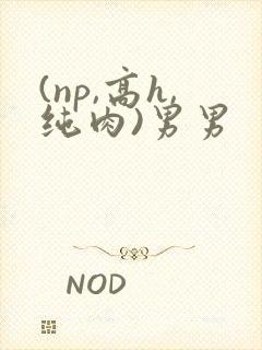 (np,高h,纯肉)男男
