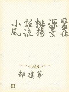 小说桃源医仙不风流杨晨在线阅读