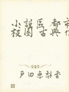 小说区 都市 校园 古典 偷拍