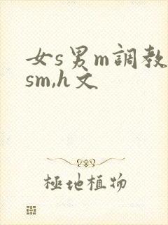 女s男m调教(sm,h文封面