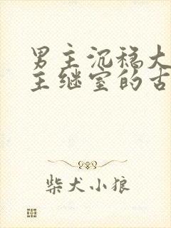 男主沉稳大叔女主继室的古言