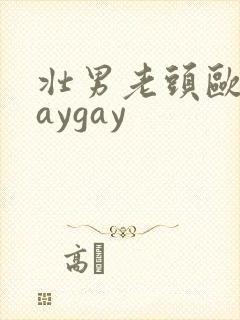 壮男老头欧美gaygay封面