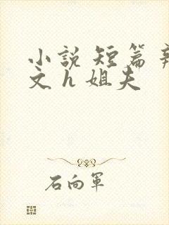 小说 短篇 辣文 h 姐夫封面