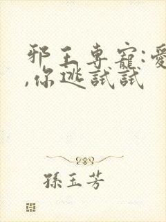 邪王专宠:爱妃,你逃试试封面