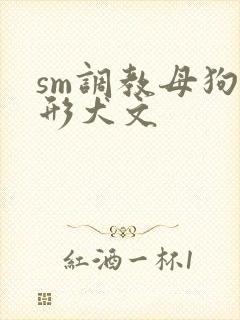 sm调教母狗人形犬文