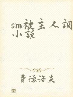 sm被主人调教小说