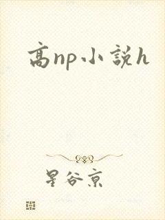 高np小说h封面