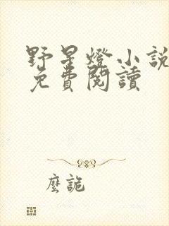 野星灯小说全文免费阅读