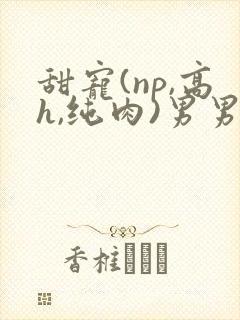 甜宠(np,高h,纯肉)男男封面